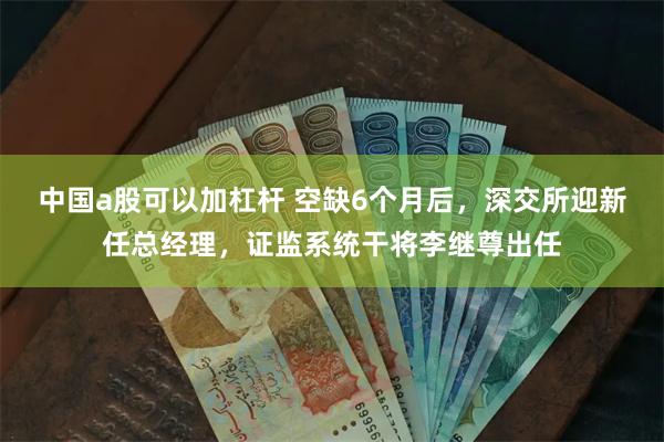 中国a股可以加杠杆 空缺6个月后，深交所迎新任总经理，证监系统干将李继尊出任