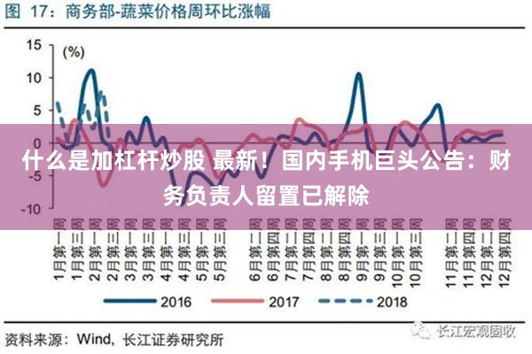 什么是加杠杆炒股 最新！国内手机巨头公告：财务负责人留置已解除