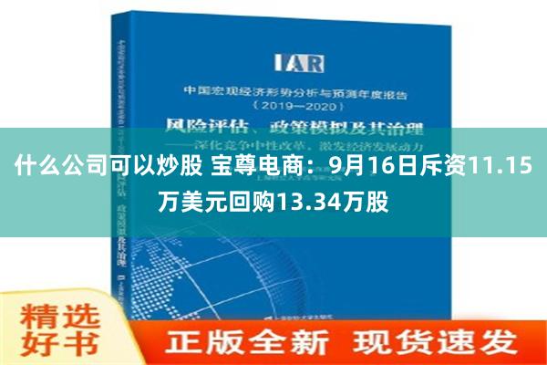 什么公司可以炒股 宝尊电商：9月16日斥资11.15万美元回购13.34万股