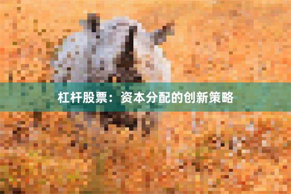 杠杆股票：资本分配的创新策略