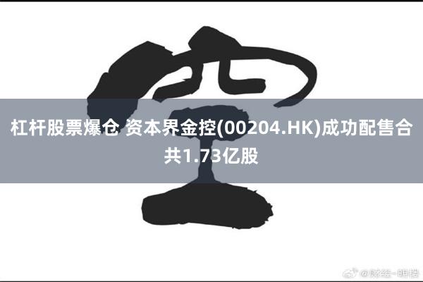 杠杆股票爆仓 资本界金控(00204.HK)成功配售合共1.73亿股