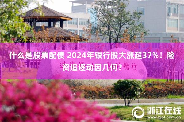 什么是股票配债 2024年银行股大涨超37%！险资追逐动因几何？