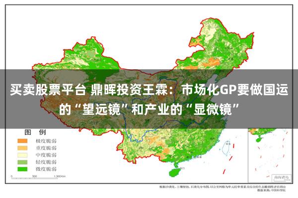 买卖股票平台 鼎晖投资王霖：市场化GP要做国运的“望远镜”和产业的“显微镜”