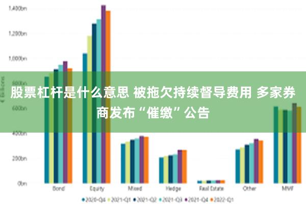 股票杠杆是什么意思 被拖欠持续督导费用 多家券商发布“催缴”公告