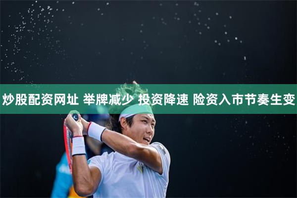 炒股配资网址 举牌减少 投资降速 险资入市节奏生变