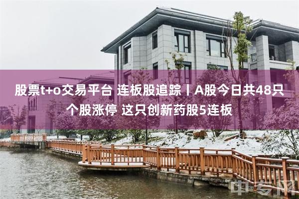 股票t+o交易平台 连板股追踪丨A股今日共48只个股涨停 这只创新药股5连板