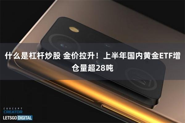 什么是杠杆炒股 金价拉升！上半年国内黄金ETF增仓量超28吨