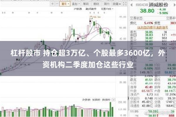 杠杆股市 持仓超3万亿、个股最多3600亿，外资机构二季度加仓这些行业
